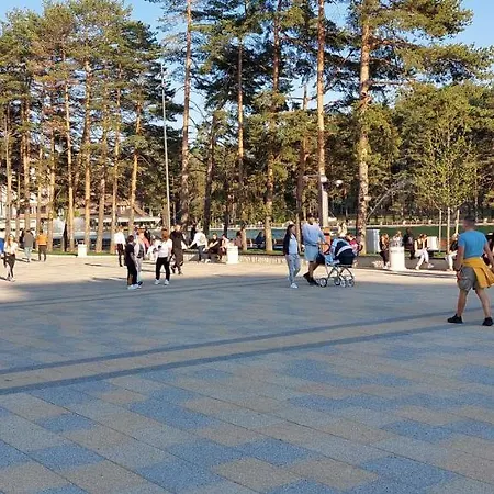 Markovic Apartament *